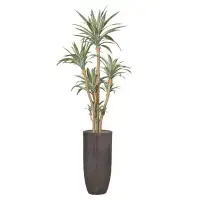 Vintage Home 102"H Vintage Real Touch Golden Edged Agave, Indoor/ Outdoor, In Pot With Rope Basket (48X48x82"H )