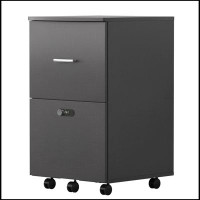 Ebern Designs File cabinet with two drawers with lock,Hanging File Folders A4 or Letter Size