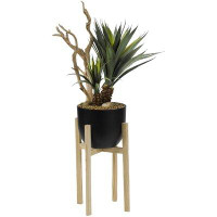 George Oliver Yucca with Ghostwood Plant in Resin Bowl