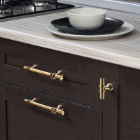 HAORE HOME 6"Wardrobe door golden long handle light luxury drawer cabinet handle cabinet Pull(Set of 2)