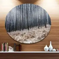 Design Art 'Moody Cold Forest with Thick Woods' Photographic Print on Metal