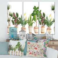 East Urban Home Trio Of Houseplants Sanseviera Snake Plant - Wrapped Canvas Painting