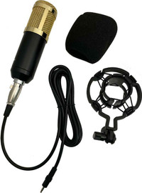 PROFESSIONAL BROADCASTING AND RECORDING MICROPHONE ONLY $29.95!