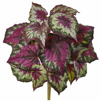 Primrue 16" Artificial Begonia Plant