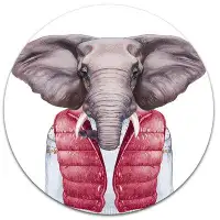 Made in Canada - Design Art 'Elephant in Vest and Sweater' Graphic Art Print on Metal