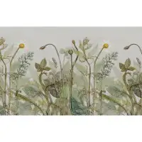 GK Wall Design Plants Daisies 6.25' L x 112" W Paintable Wall Mural