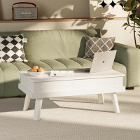 Wade Logan Brierra Lift Top Coffee Table with Storage