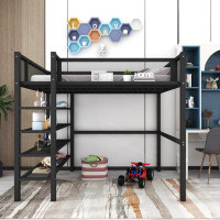 Isabelle & Max™ Colindas Twin Loft Bed with Shelves by  Isabelle & Max™