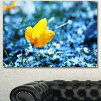 Design Art 'Solitary Yellow Flower on Blue' Photographic Print on Wrapped Canvas