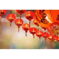 Ebern Designs Chinese New Year Lanterns In China Town