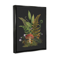 Stupell Industries Ferns Sprouting Woodland Mushroom Plants Framed Floater Canvas Wall Art By House Of Rose