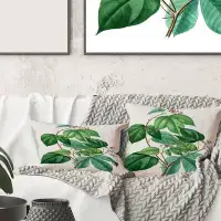 East Urban Home Square,Vintage Green Leaves Plants III - Traditional Printed Throw Pillow