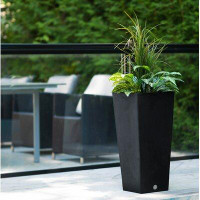 Charlton Home Cara Composite Pot Planter with Watering Tray
