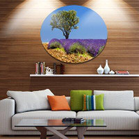 Made in Canada - Design Art 'Lone Green Tree in Lavender Field' Photographic Print on Metal