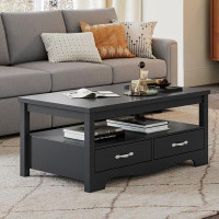 The Twillery Co. Hulett Coffee Table with Storage