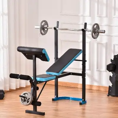 Adjustable Fitness Home Gym Equipment Workout Bench w/ Leg Development - Black and Blue