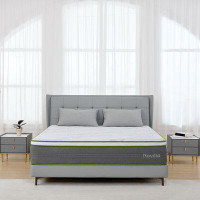 Alwyn Home Alwyn Home Pevely 10'' Medium Sofa Bed Mattress