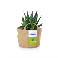 Coolaroo Heavy Duty Grow Bag Breathable Fabric for Air Pruning and Plant Growth Pot Planter Set