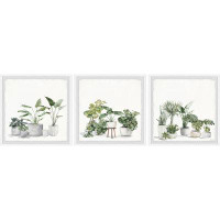 Marmont Hill Plant Collection Triptych