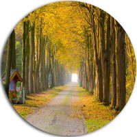 Made in Canada - Design Art 'Country Road Below Yellow Trees' Photographic Print on Metal