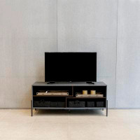 Latitude Run® Tiofila TV Stand for TVs up to 60"
