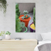 Foundry Select Green Cactus Plant On Assorted-Colour Pots - 1 Piece Rectangle Graphic Art Print On Wrapped Canvas