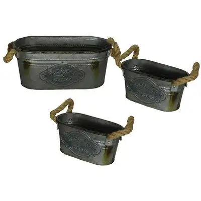 Ophelia & Co. Jefcoat 3 - Piece Self-Watering Iron Pot Planter Set