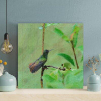 Latitude Run® Little Black Green Bird On A Plant - 1 Piece Rectangle Graphic Art Print On Wrapped Canvas