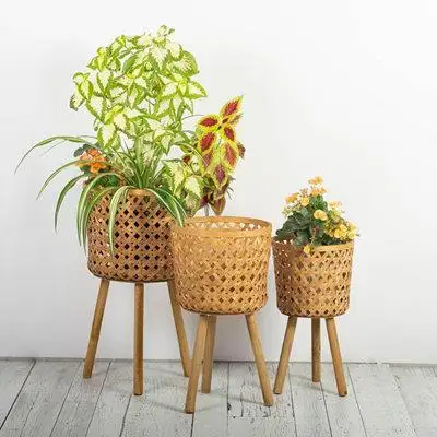 Bayou Breeze Set Of 3 Natural Bamboo On Wooden Legs Plant Stand