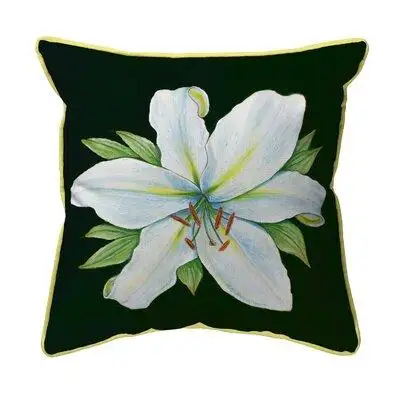 Winston Porter Casablanca Lily - Black Background Extra Large Zippered Indoor/Outdoor Pillow 22X22