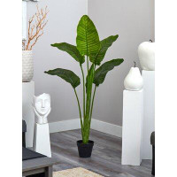 Bay Isle Home™ 60in. Travellers Palm Tree UV Resistant (Indoor/Outdoor)