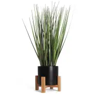 Primrue Primrue - Small Grass Plant with Black Planter and Stand 2-Pack