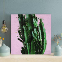 Foundry Select Green Cactus Plant In Close Up Photography 8 - 1 Piece Square Graphic Art Print On Wrapped Canvas