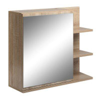 Ebern Designs Oshawa Billison Surface Mount Framed Medicine Cabinet with 5 Shelves