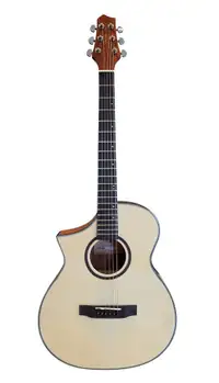 Free Shipping! Left handed Acoustic Guitar Natural PPG731LF