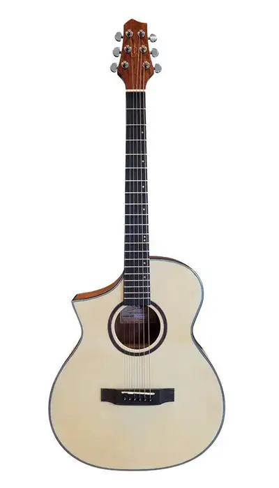 Free Shipping! Left handed Acoustic Guitar Natural PPG731LF
