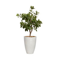 Vintage Home 42.9" Artificial Tung Tree in Planter