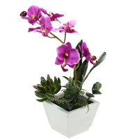 Northlight Seasonal 13" Potted Pink Artificial Orchid with Succulent Plants