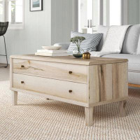 Beachcrest Home Fiorella Lift Top Coffee Table with Storage
