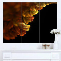 Design Art 'Abstract Yellow Flower on Black' 3 Piece Graphic Art on Wrapped Canvas Set