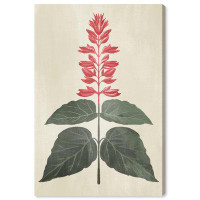Red Barrel Studio Floral and Botanical One plant Botanical Traditional Red Canvas Wall Art Print