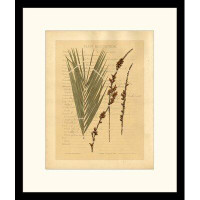 Wendover Art Group Harbarium - Plant Description IX Picture Frame Drawing Print