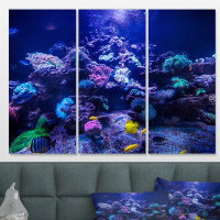 East Urban Home 'Aquarium Reef Tank' Photographic Print Multi-Piece Image on Wrapped Canvas