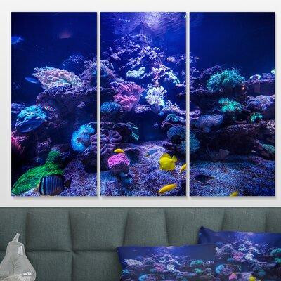 East Urban Home 'Aquarium Reef Tank' Photographic Print Multi-Piece Image on Wrapped Canvas in Arts & Collectibles