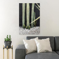 Foundry Select Green Cactus Plant On Brown Soil 2 - 1 Piece Rectangle Graphic Art Print On Wrapped Canvas