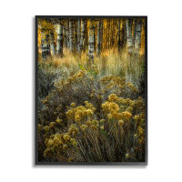 Stupell Industries Woodland Wildlife Plants Yellow Blossoms Framed Giclee Texturized Wall Art By David Lorenz_aq-472