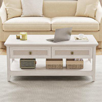 Lark Manor Raby 2 - Drawer Natural Rattan Coffee Table