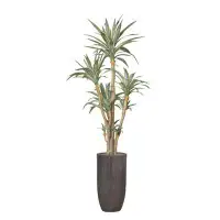 Vintage Home 96.25"H Vintage Real Touch Golden Edged Agave, Indoor/ Outdoor, In Pot With Rope Basket (48X48x82"H )