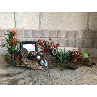 Gablewood Designs 6 Artificial Succulent Plant in Free Standing Set