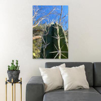 Foundry Select Green Cactus Plant During Daytime 13 - 1 Piece Rectangle Graphic Art Print On Wrapped Canvas